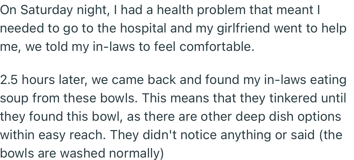OP and their girlfriend came back to find their in-laws eating out of a bowl they had used to feed their dog