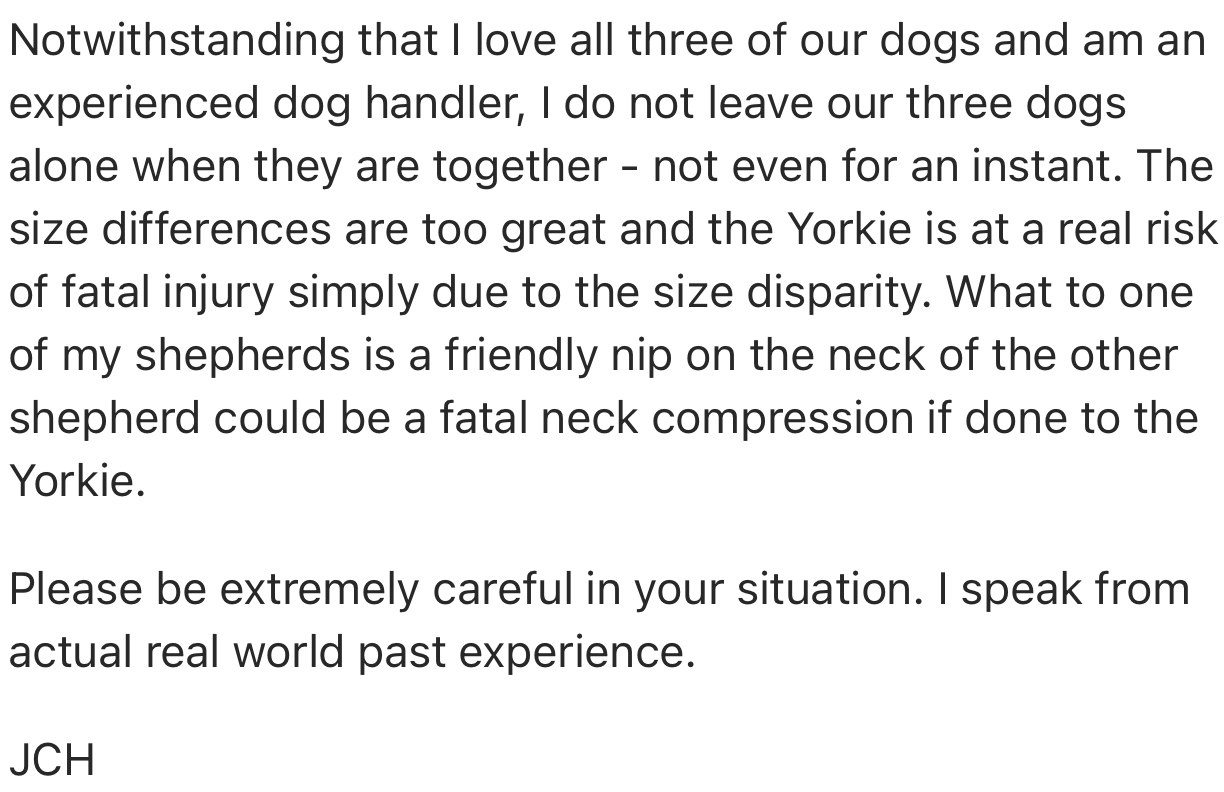 According to this user, the small dog is at risk of fatal injury when they play rough due to the size disparity