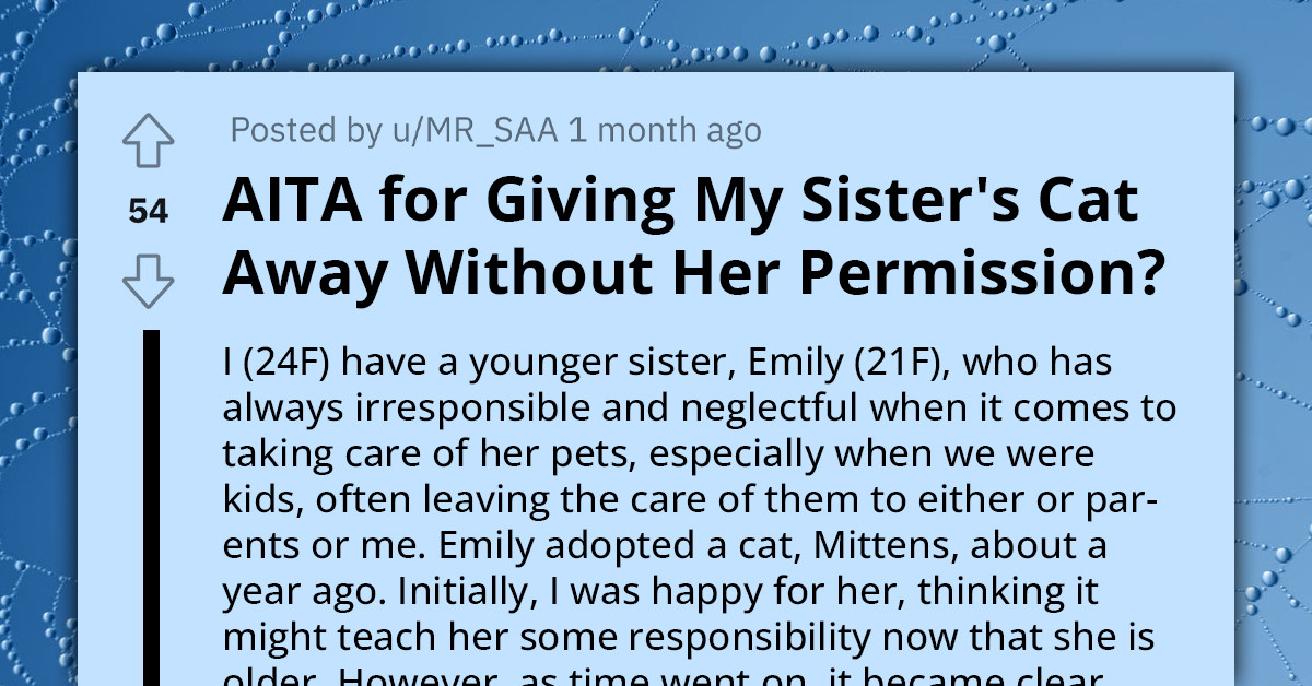 Woman Sends Neglected Cat to Shelter After Sister Leaves It Alone for Two Weeks with Minimal Supplies