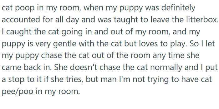 OP now lets her puppy chase the cat out of the room but actually feels sorry about that