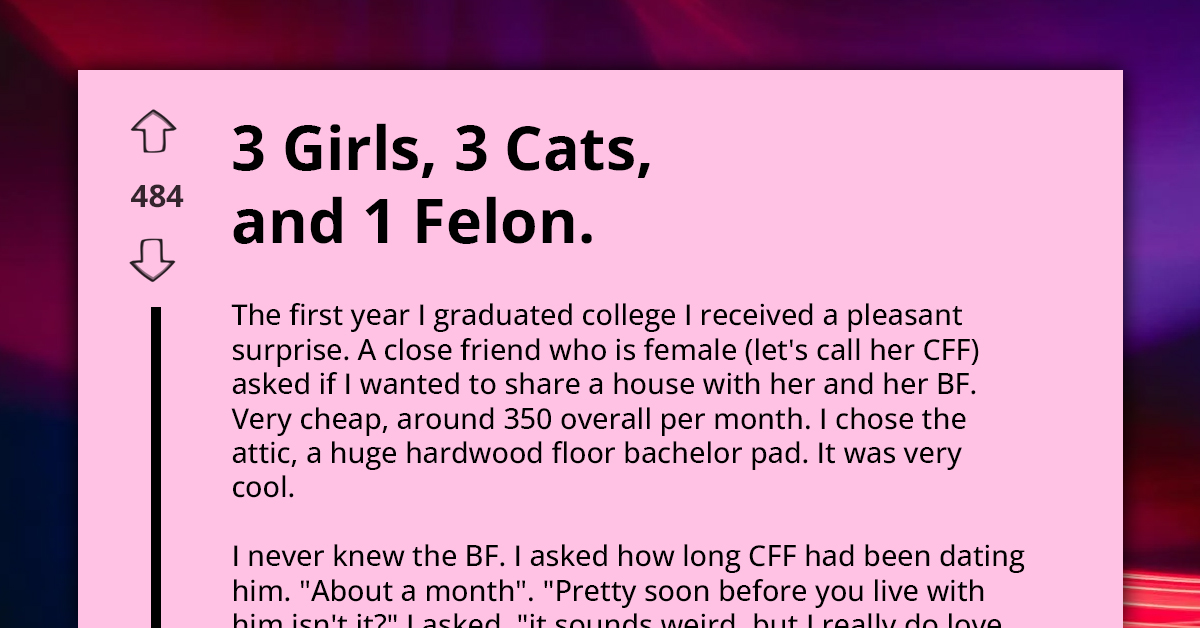 Living With Three Girls, Three Cats, And One Felon Explodes Into A Chaotic Nightmare