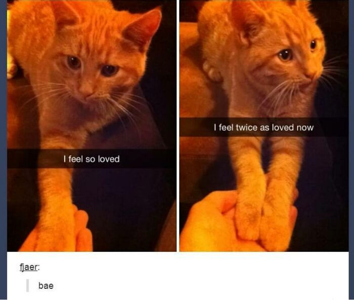 38. I feel twice as loved now