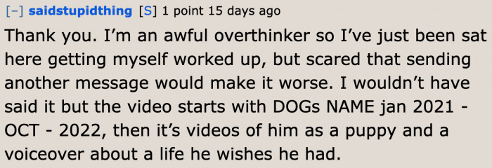 The Redditor admits that she's an overthinker.