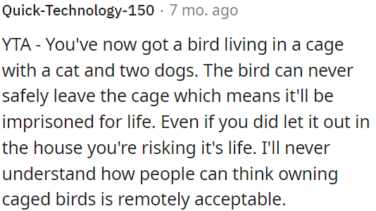 Having a caged bird with cats and dogs risks its safety and confines it for life.