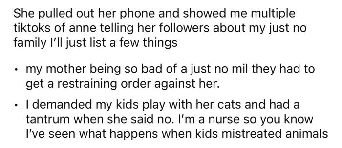 The niece showed OP some videos the SIL shared with her followers.