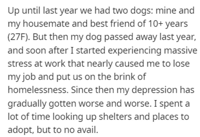 OP and her housemate had two dogs, but last year, OP's dog passed away, and she hasn't been the same since