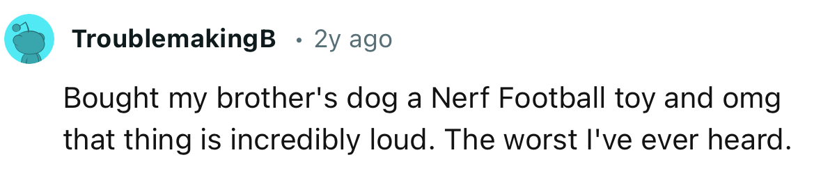 “I bought my brother's dog a Nerf Football toy, and oh my, that thing is incredibly loud.”