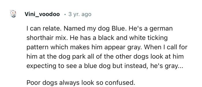 “I named my dog Blue. He's a German Shorthair mix. He has a black and white ticking pattern which makes him appear gray.”