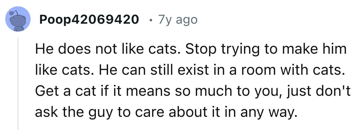 Trying to Make the Boyfriend Love Cats