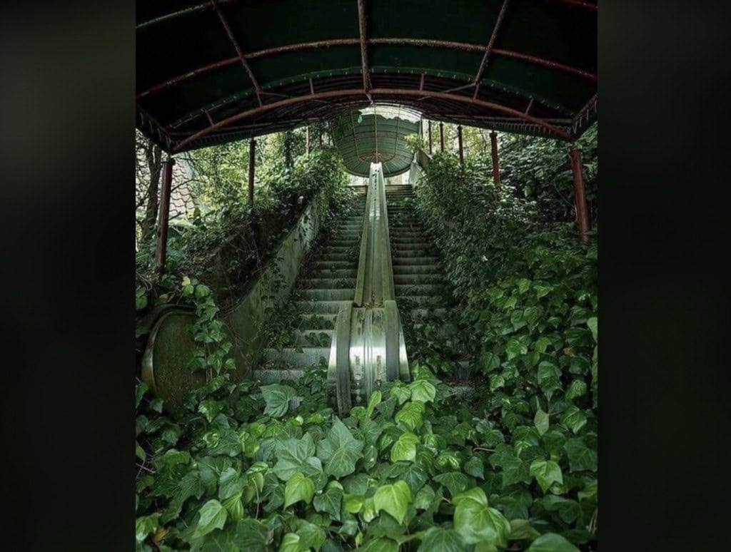 10. “Overgrown escalator.”
