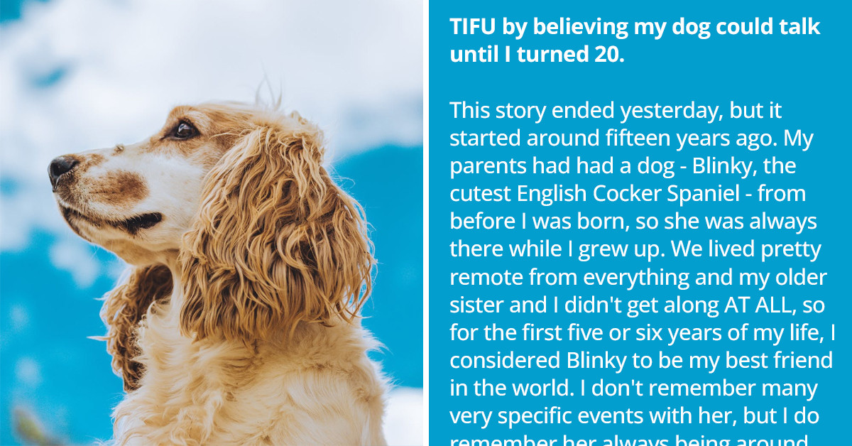 Eye-Opening Moment Redditor Found Out That Dogs Can’t Talk, But It Was Too Late To Make Things Right