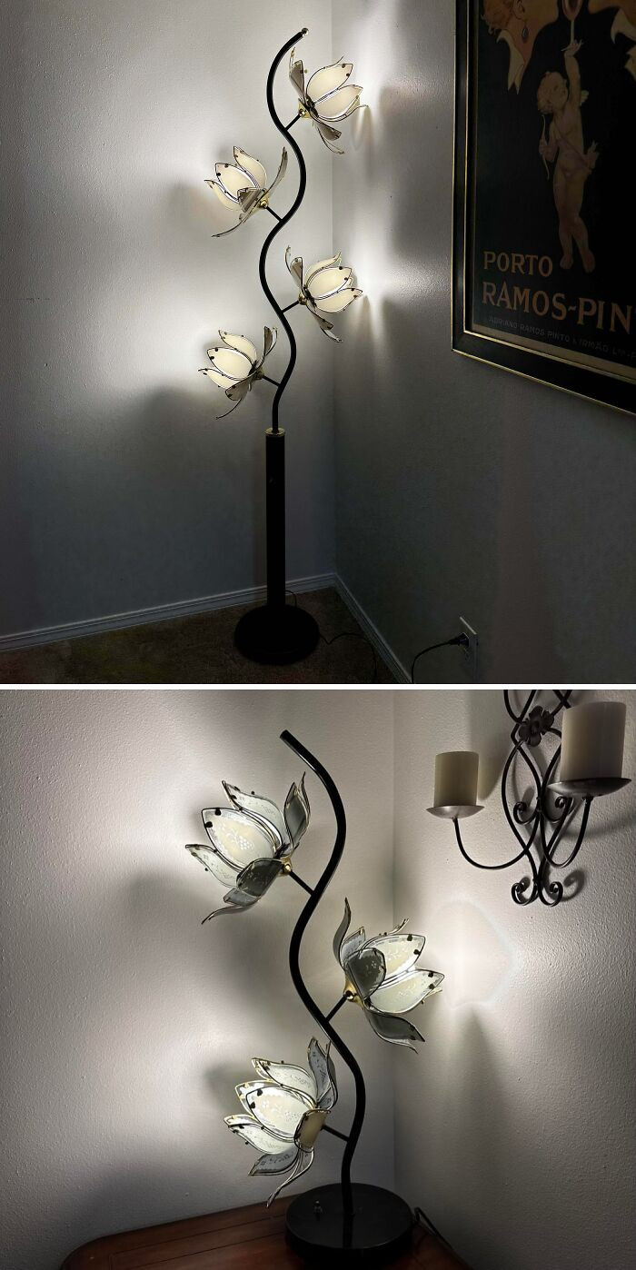 "Curb Find Of The Year"