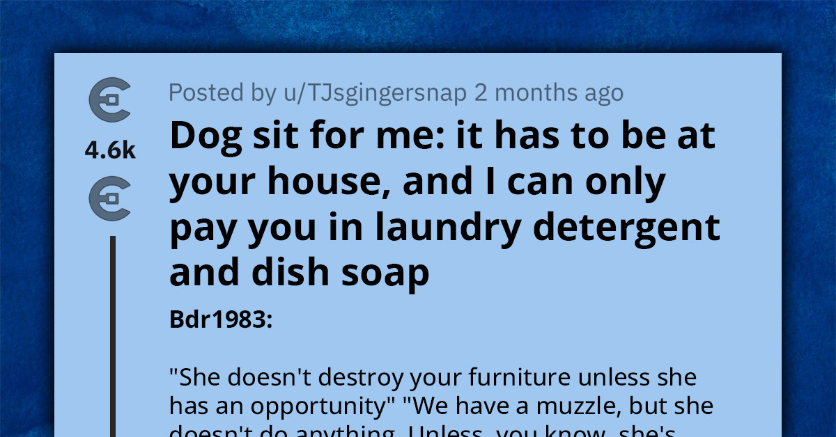 Redditors Crack Up At The Absurd Payment Method Someone Offered For A Dogsitter To Care For Their Pet Outside Their Home