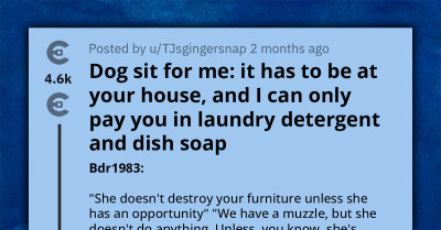 Redditors Crack Up At The Absurd Payment Method Someone Offered For A Dogsitter To Care For Their Pet Outside Their Home