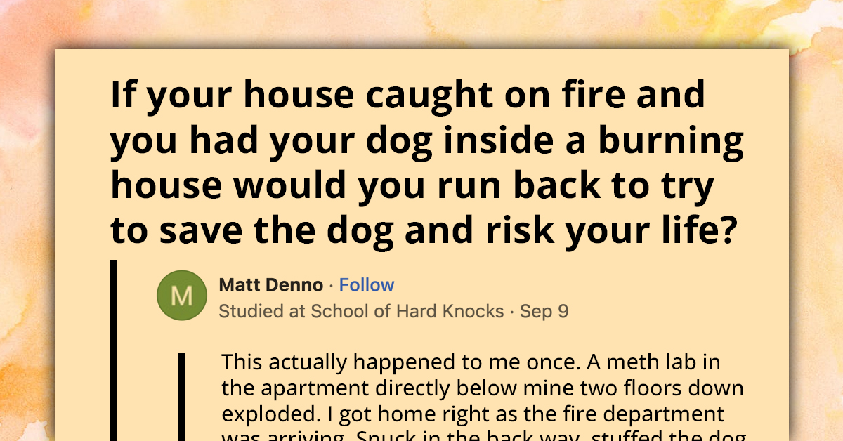 Devoted Dog Parents Reveal Lengths They Would Go To Preserve the Lives of Their Precious Fur Babies