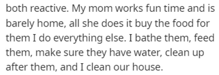 OP is the one who does everything when it comes to taking care of the dogs