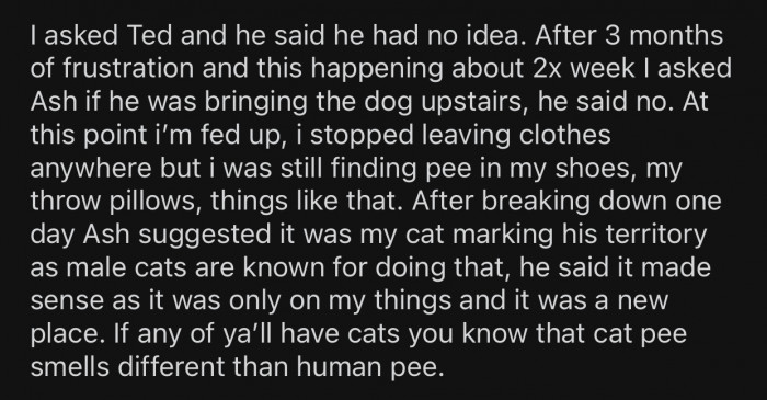 Ash suggested that OP's cat was marking his territory by peeing on things.