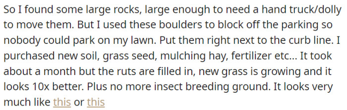 Using large rocks to block off parking, OP fixed the ruts, reseeded the grass, and eliminated insect breeding grounds, resulting in an impressive transformation of the landscape.