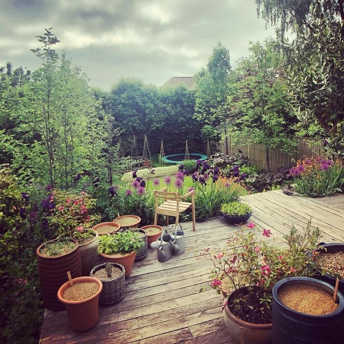 A timber deck surrounded by greenery.