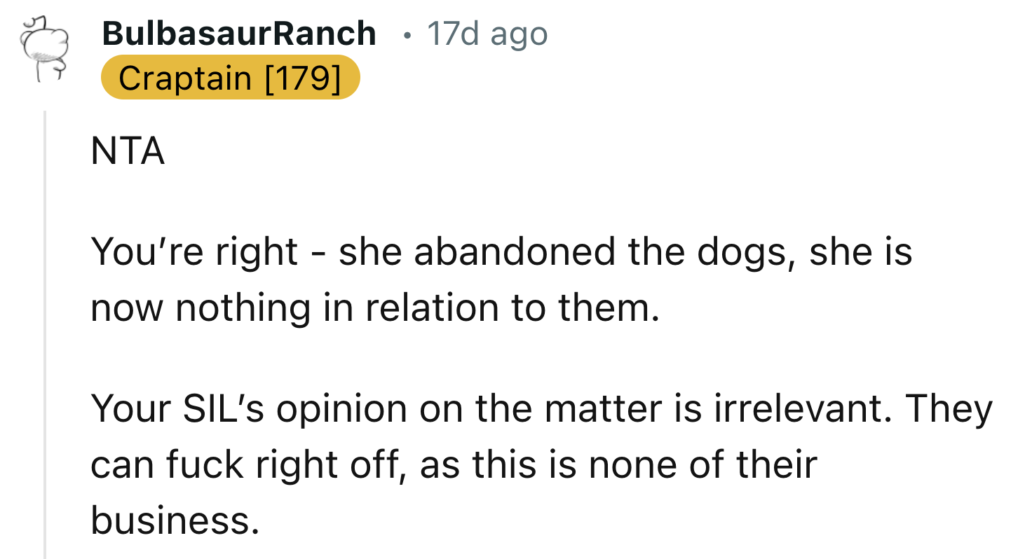 Mother-in-Law Abandoned the Dogs