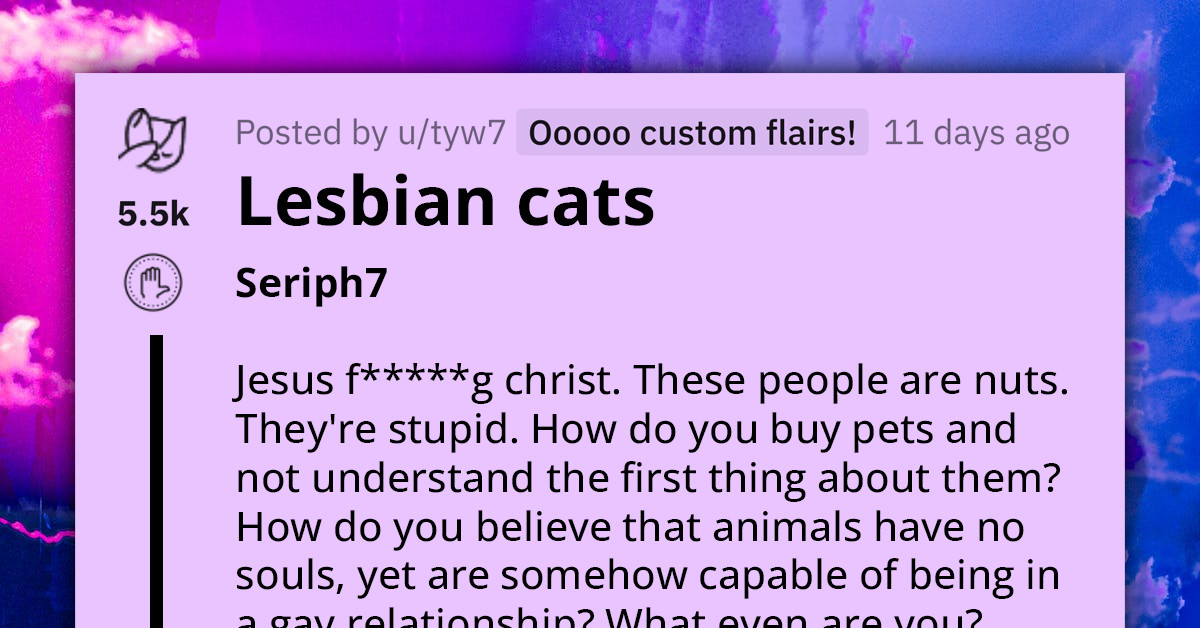 Overly Religious Cat Parent Offers Female Kitties Up For Adoption Over Their Unacceptable “Lesbian” Behavior