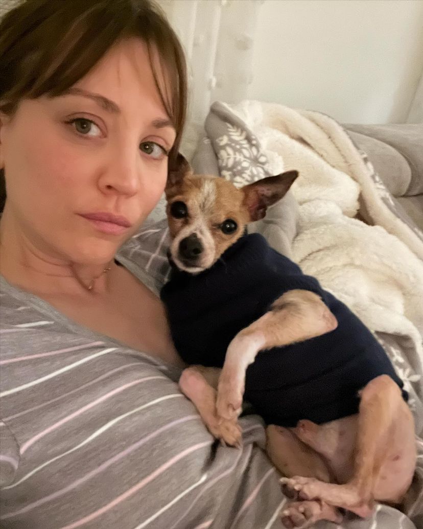 2. Snuggles and memories that last fur-ever. King may be gone, but his love lives on in every cuddle.