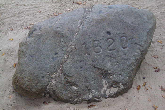 Plymouth Rock.