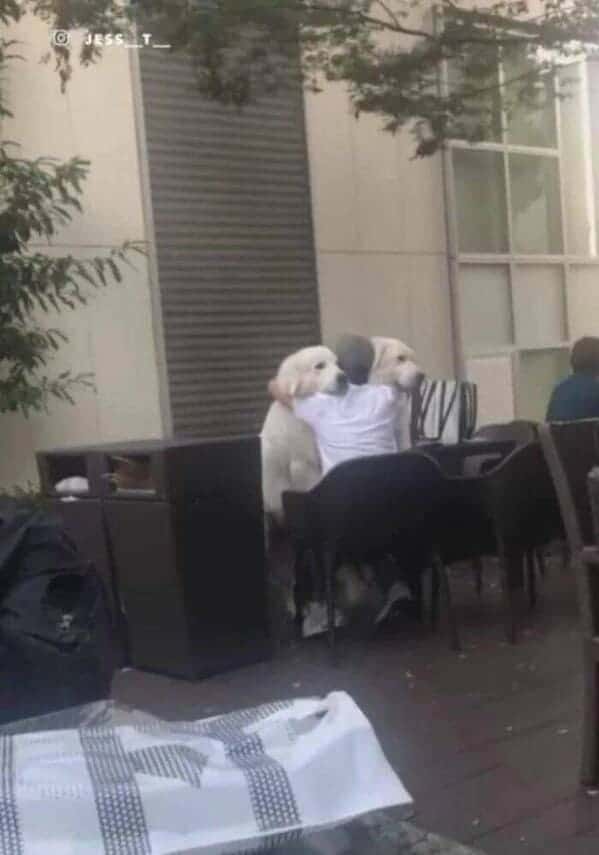 16. I want a hug too