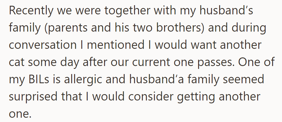 OP mentioned wanting another cat in the future, surprising family due to brother-in-law's allergy.