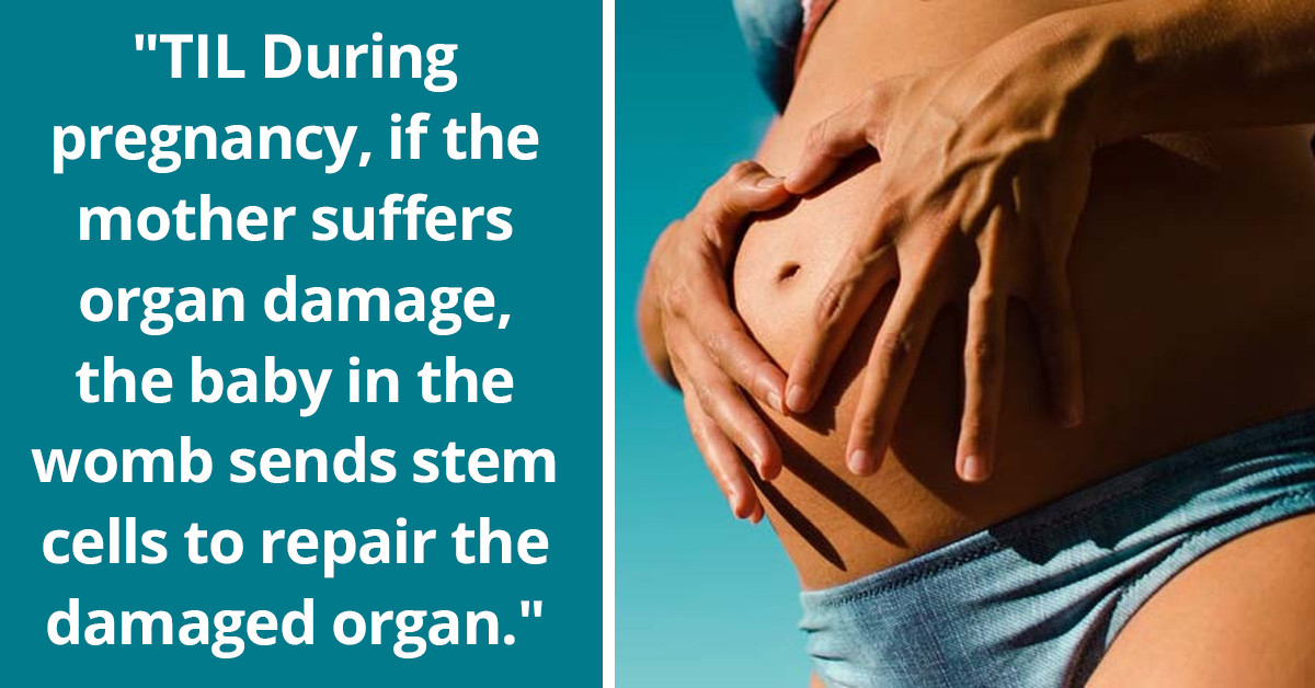 31 Interesting, Fascinating, And Historical Facts That Will Rouse Your Curiosity