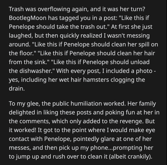 Penelope's relatives delighted in liking OP's updates. They made fun of Penelope. She was shamed into doing her chores like a petulant child.
