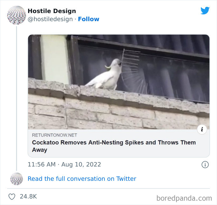 4. Bravery at its peak