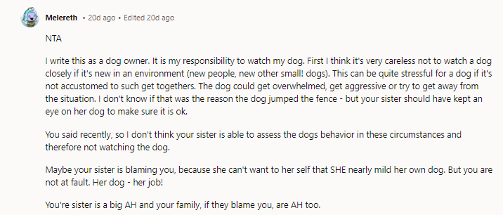 Your sister is a big AH, and your family, if they blame you, are AH too.