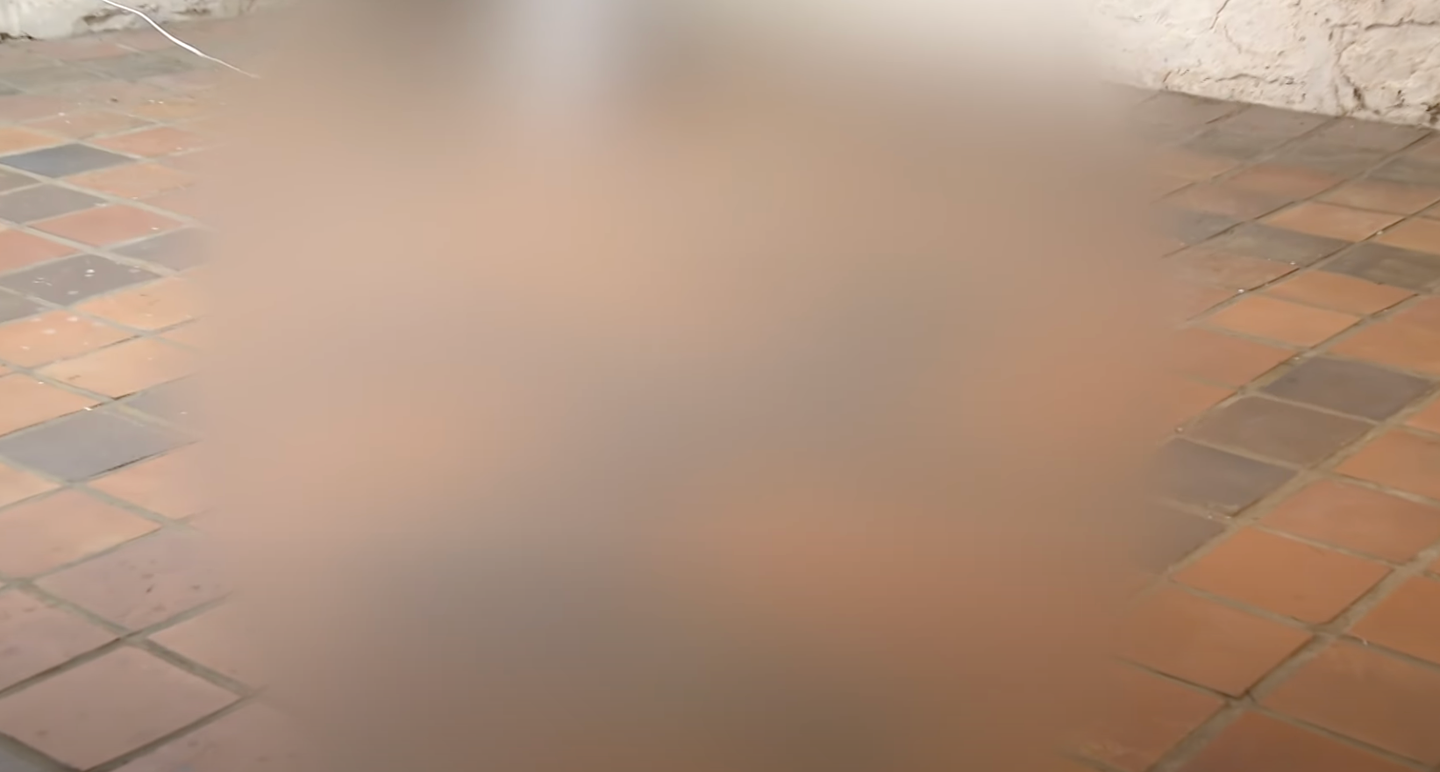 A couple discovers a swastika floor design hidden under a rug in their new home.