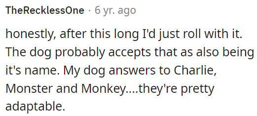 OP should just accept multiple names for her dog; dogs are adaptable and respond to different names.