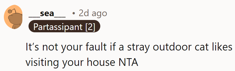 OP's not the asshole if a stray cat prefers their place—guess they've got better digs!