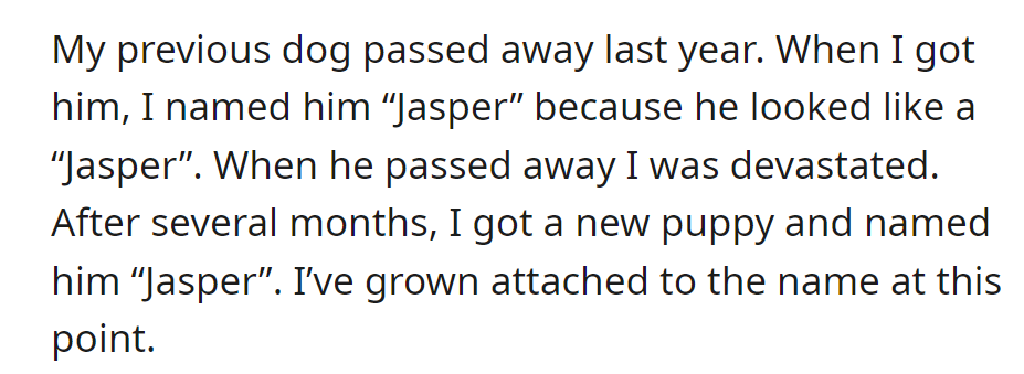 OP's previous dog named Jasper passed away last year. Got a new puppy and named him Jasper too, as OP was attached to the name.