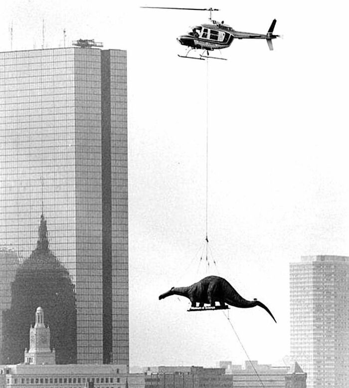 23. A dinosaur's arrival at the Museum of Science in Boston, Massachusetts, in 1984.