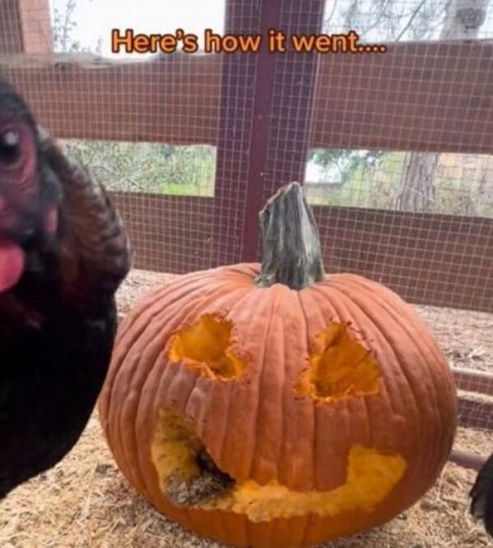 Soon enough, people started coming up with their own types of chicken carving methods.