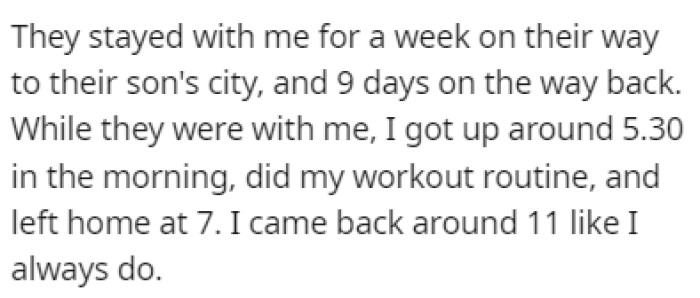 They Stayed with OP for a Considerable Amount of Time, but OP Continued Life as Usual While They Were There