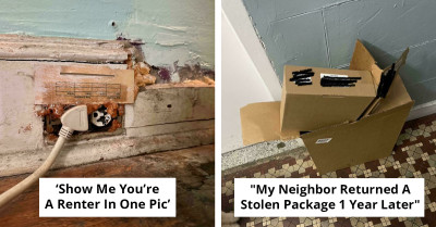 30 Stories of Apartment Living Gone Wrong