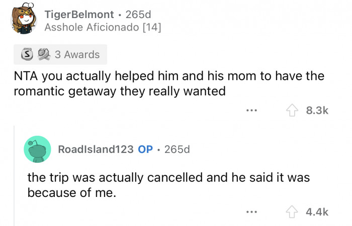 The whole trip was canceled, and the husband blamed OP for 