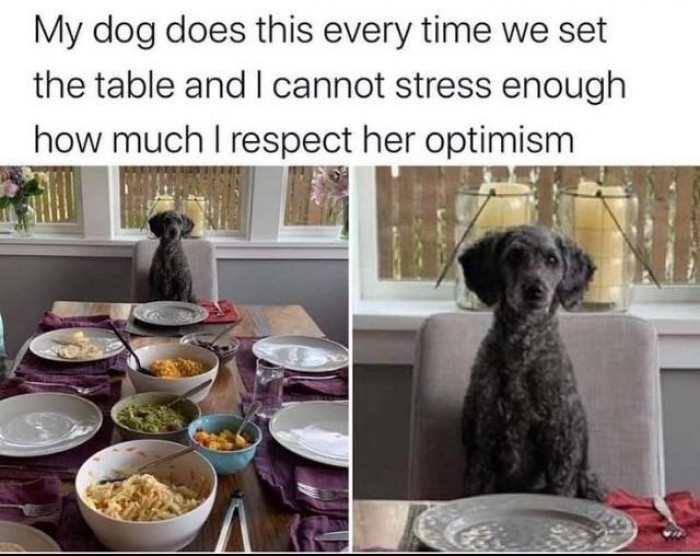 2. She obviously knows she's a fully-fledged family member.