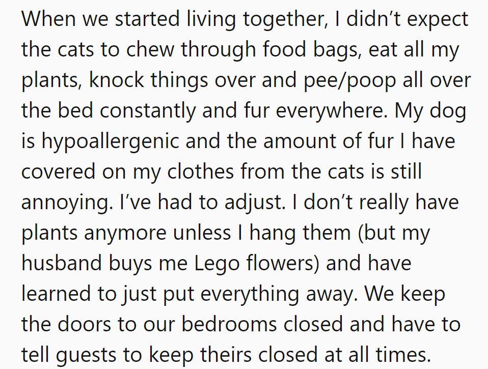 Living together with cats brought unexpected chaos—now it's Lego flowers and closed bedroom doors for all!