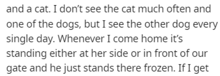 OP sees one of the neighbor's dogs every day