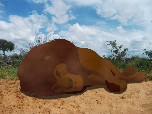 3. The Lion King - the most dangerous predator is the human.