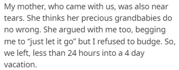 OP's mother believes that the kids are angels who can't do any wrong