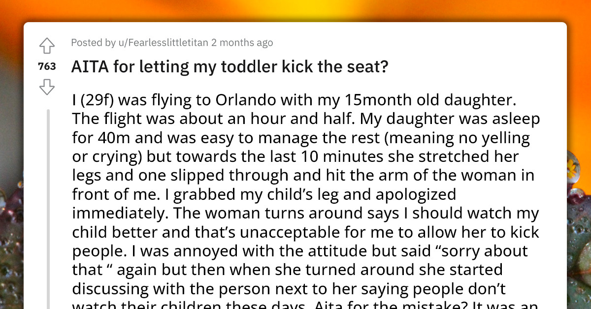 Toddler Accidentally Kicks Front Seat On A Flight, Then Mom Gets Brutally Told Off By Karen On Steroids
