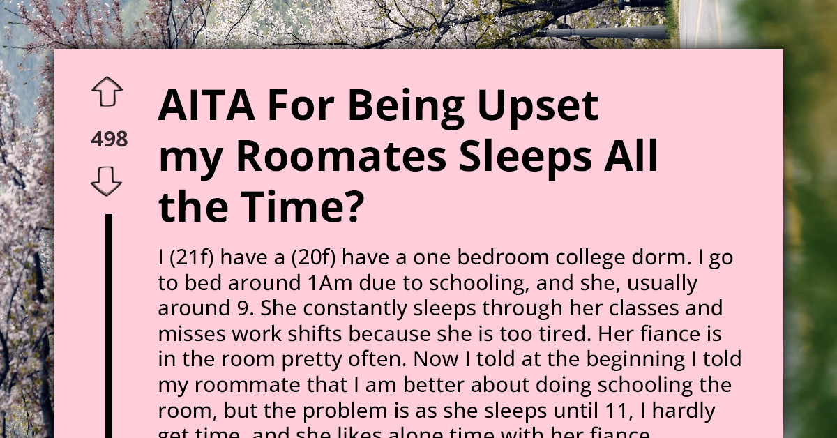 College Student Blamed For Roommate Skipping Classes And Missing Work