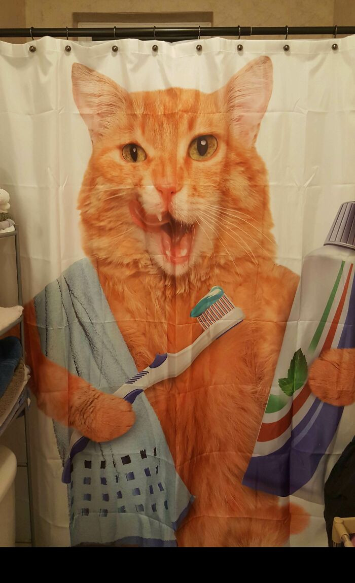 "The Wife Doesn't Approve Of The Shower Curtain I Picked Out"